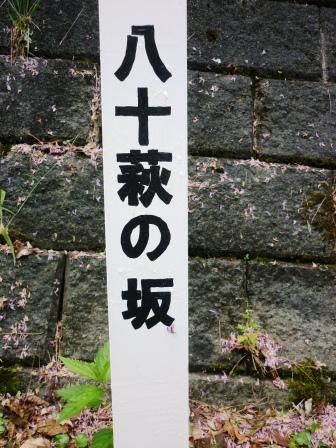 イメージ 12
