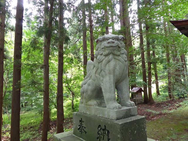 イメージ 14