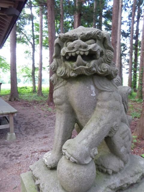 イメージ 18