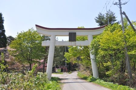 イメージ 2