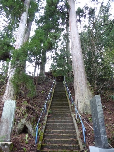 イメージ 30
