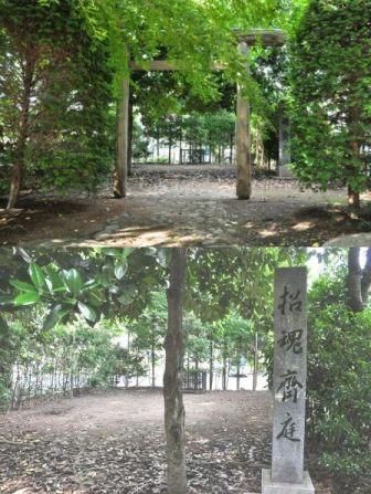 イメージ 12