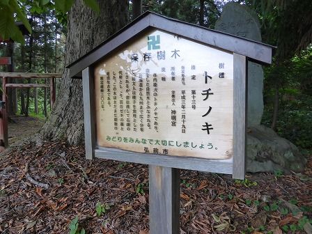 イメージ 27