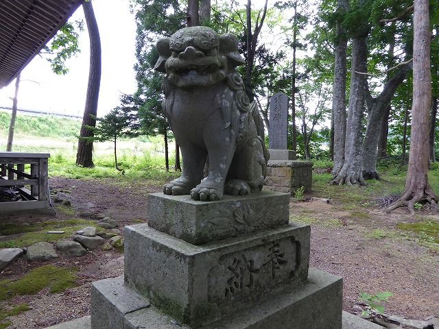 イメージ 30