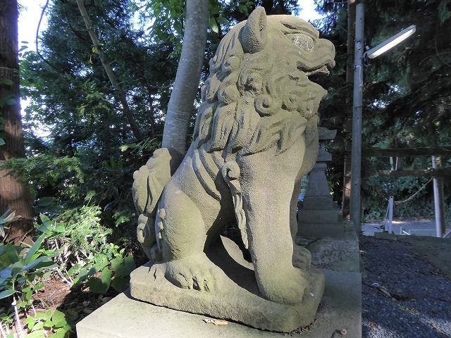 イメージ 18