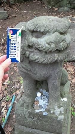 イメージ 12