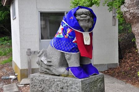 イメージ 12