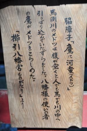 イメージ 10