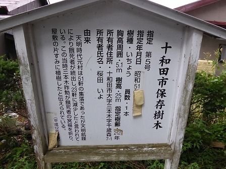 イメージ 20