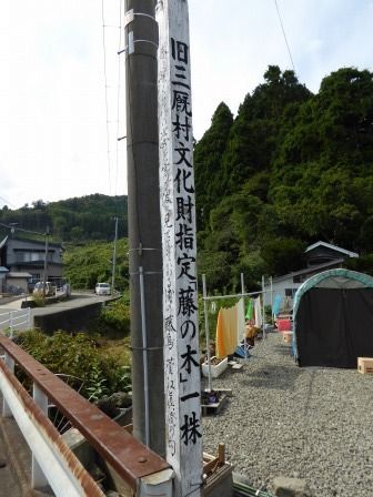 イメージ 15