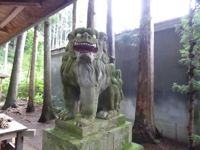 イメージ 14