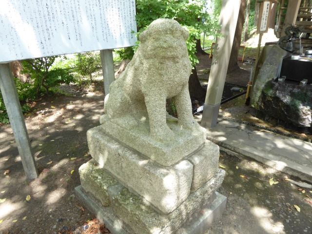 イメージ 25