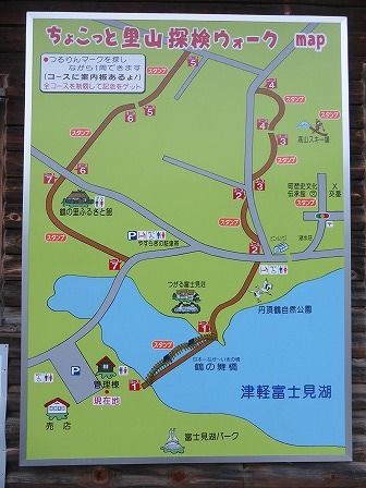 イメージ 17