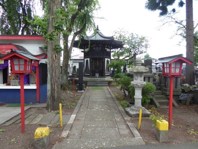 イメージ 15