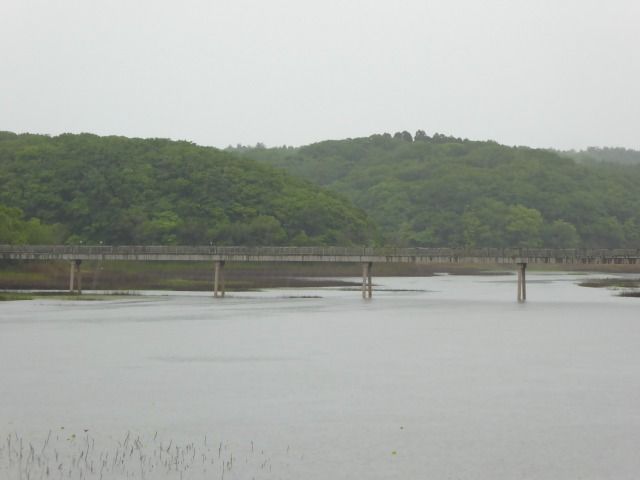 イメージ 5