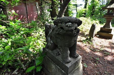 イメージ 7