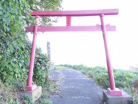 イメージ 10