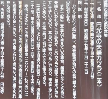 イメージ 22