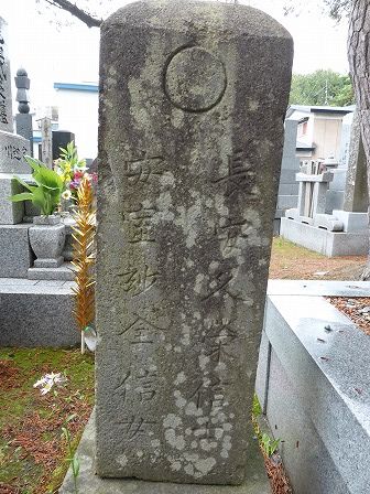 イメージ 13