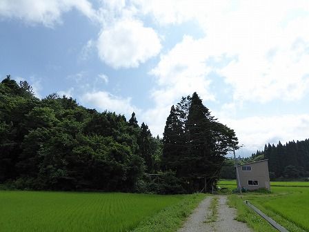 イメージ 16