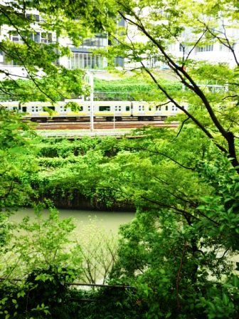 イメージ 6