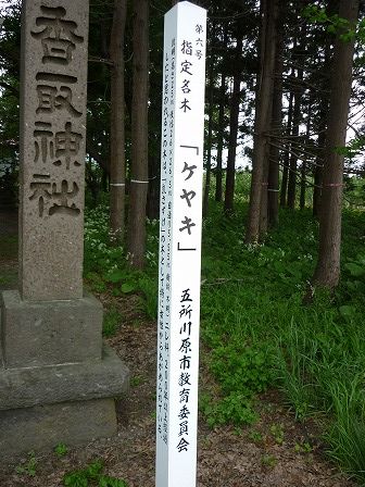 イメージ 13