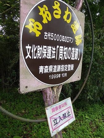 イメージ 8