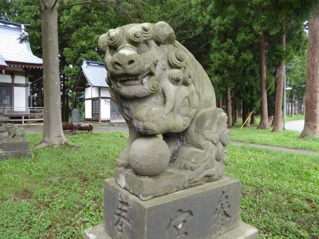 イメージ 9
