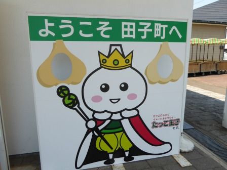 イメージ 11