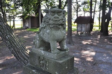 イメージ 10