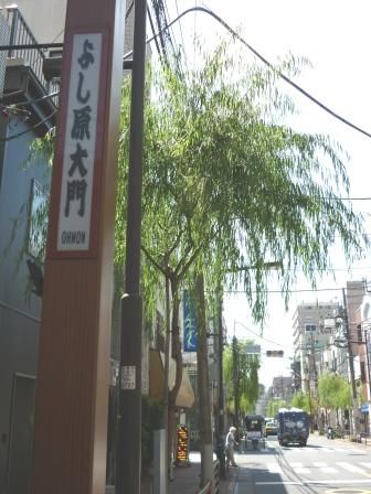 イメージ 20