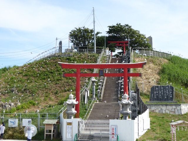 イメージ 12