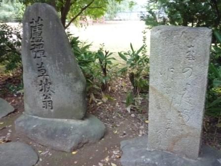 イメージ 16