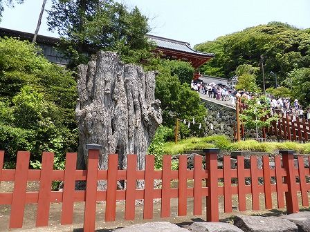 イメージ 35
