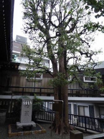 イメージ 35