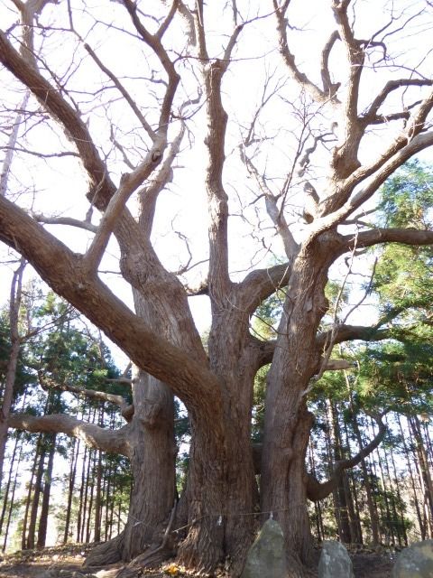イメージ 3