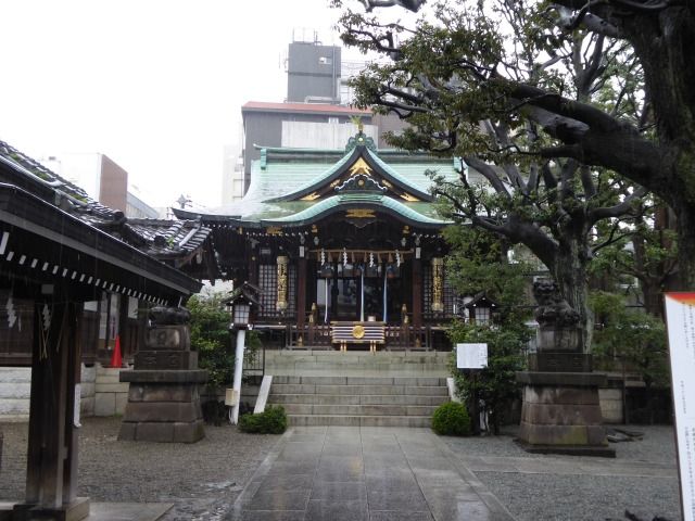 イメージ 7