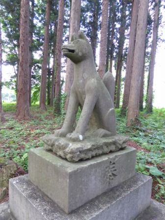 イメージ 14