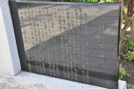 イメージ 12