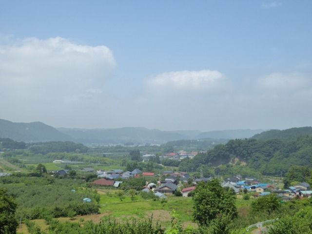 イメージ 6