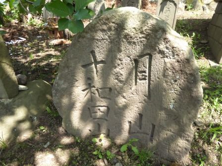 イメージ 11