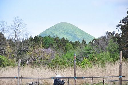 イメージ 10