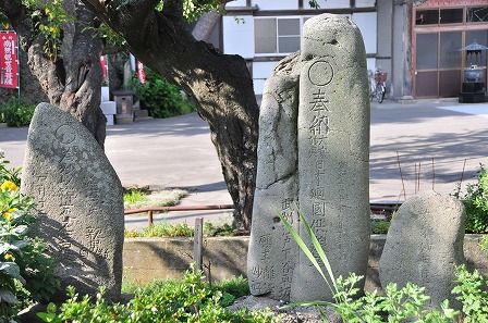 イメージ 15