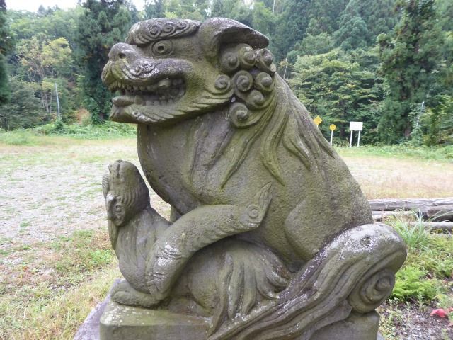 イメージ 7