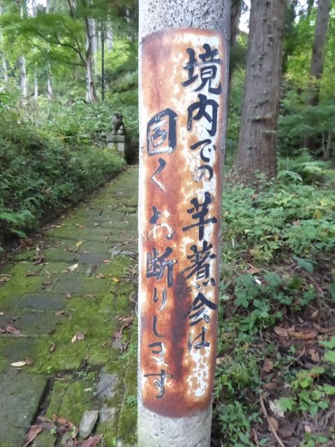 イメージ 18