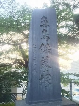 イメージ 50