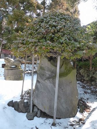 イメージ 23