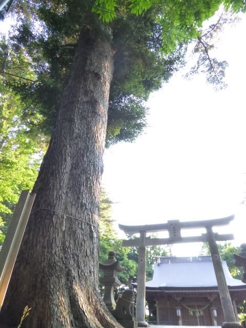 イメージ 24