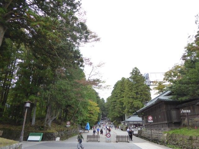 日光東照宮 (Nikko Toshogu Shrine)Part1 : くぐる鳥居は鬼ばかり 日光東照宮 (Nikko Toshogu Shrine)Part1 : くぐる鳥居は鬼ばかり
