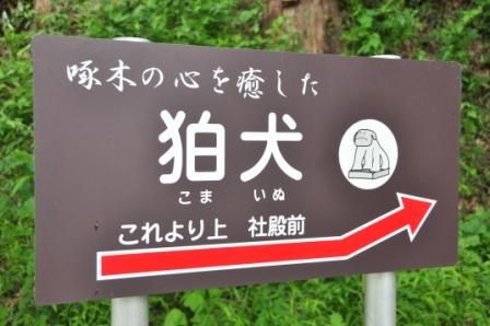 イメージ 33